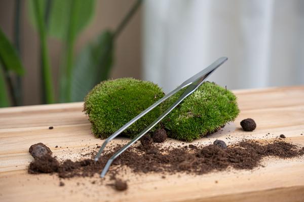 Terrarium pincet 26 cm