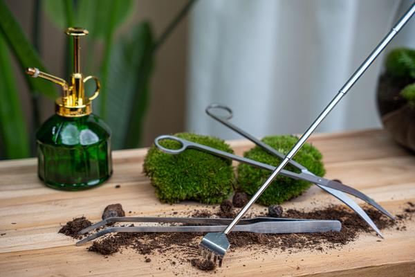 Terrarium pincet 26 cm