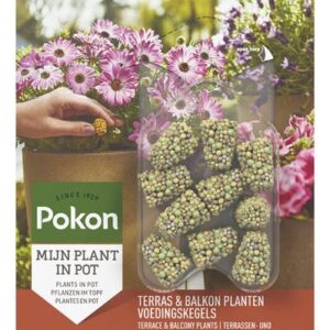 Voedingskegels voor terras- en balkonplanten 40 stuks (10x)