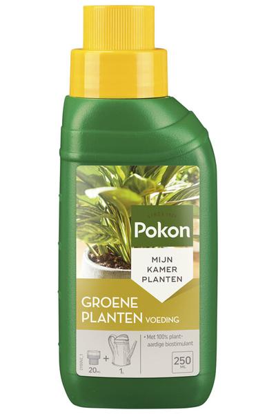 Pokon groene planten voeding 250 ml