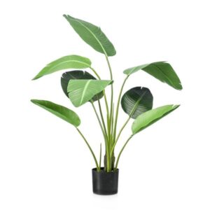 Strelitzia – 120cm – In zwarte pot – Kunstplant