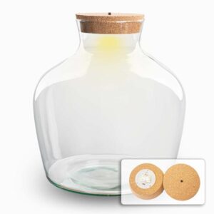 Terrarium fles met verlichting – Fat Joe – Ø 29 cm ↑ 30 cm