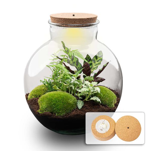 DIY terrarium met verlichting van Bolder Bob