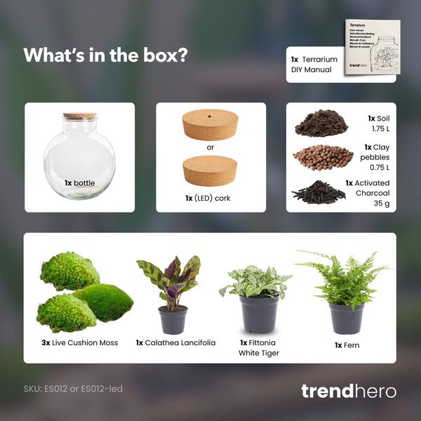 DIY terrarium met verlichting van Bolder Bob