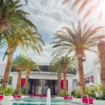 Planten verzorgen tijdens vakantie: 9 slimme tips