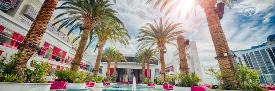 Planten verzorgen tijdens vakantie: 9 slimme tips