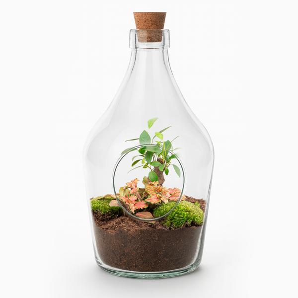Open terrarium John